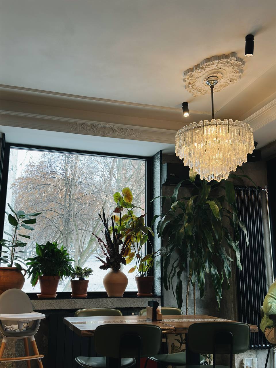 Читка Puri на солнечной