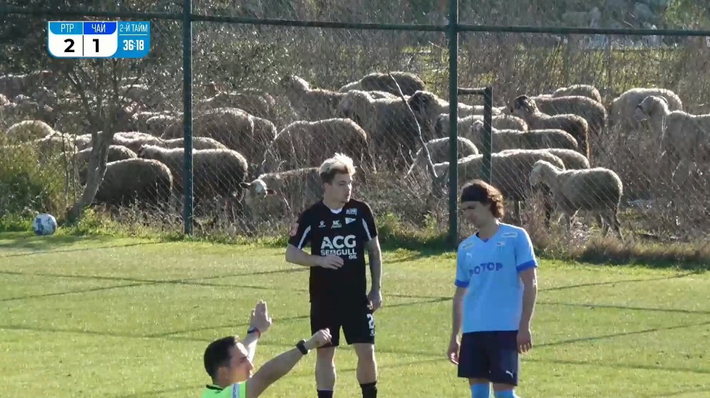 Ротор спаррингом с Чайкой