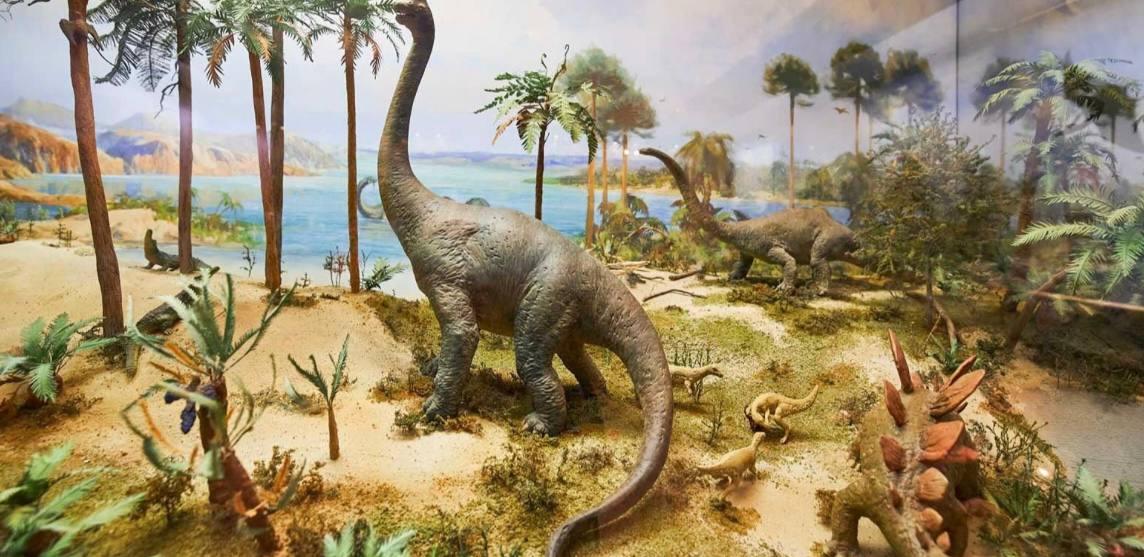 Ночь искусств в Государственном биологическом музее К.А. Тимирязева