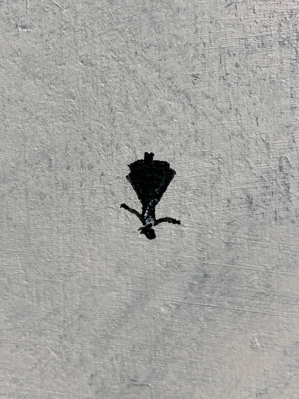 Безмолвие священной рощи