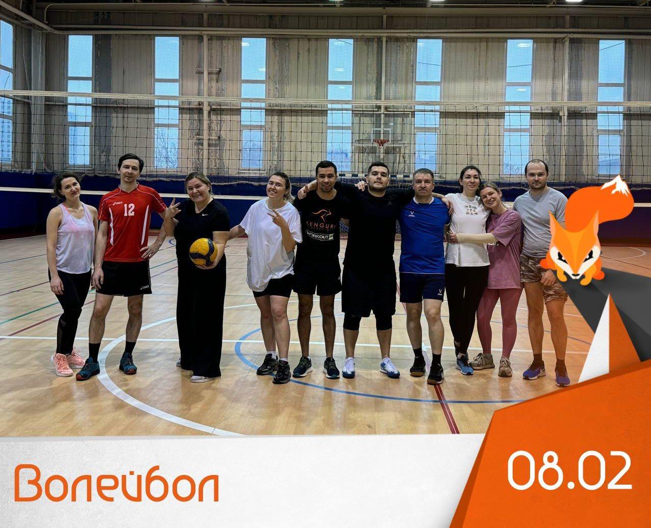 Волейбол (игра)