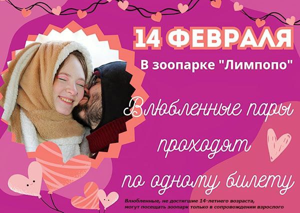 Свидание в зоопарке Лимпопо