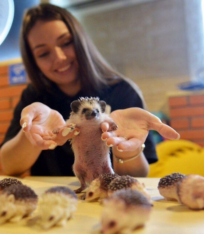 Ежеминутка