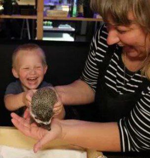 Ежеминутка