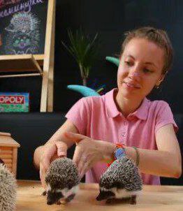 Ежеминутка