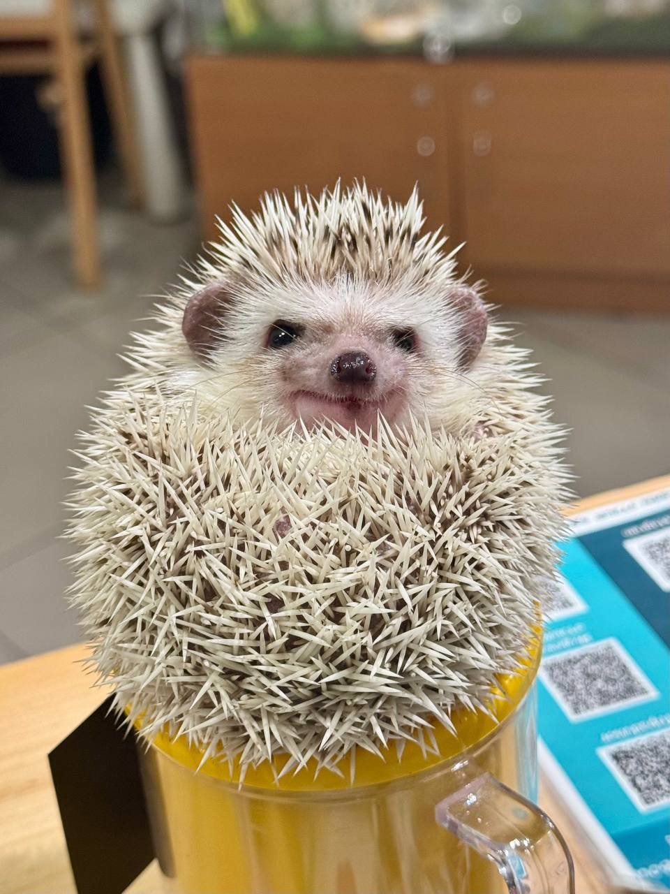 Ежеминутка