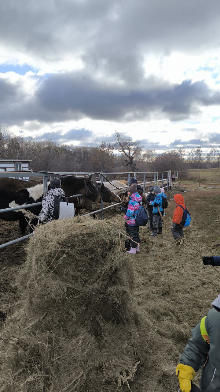 Программа Я сам для мальчиков и девочек от 7 лет