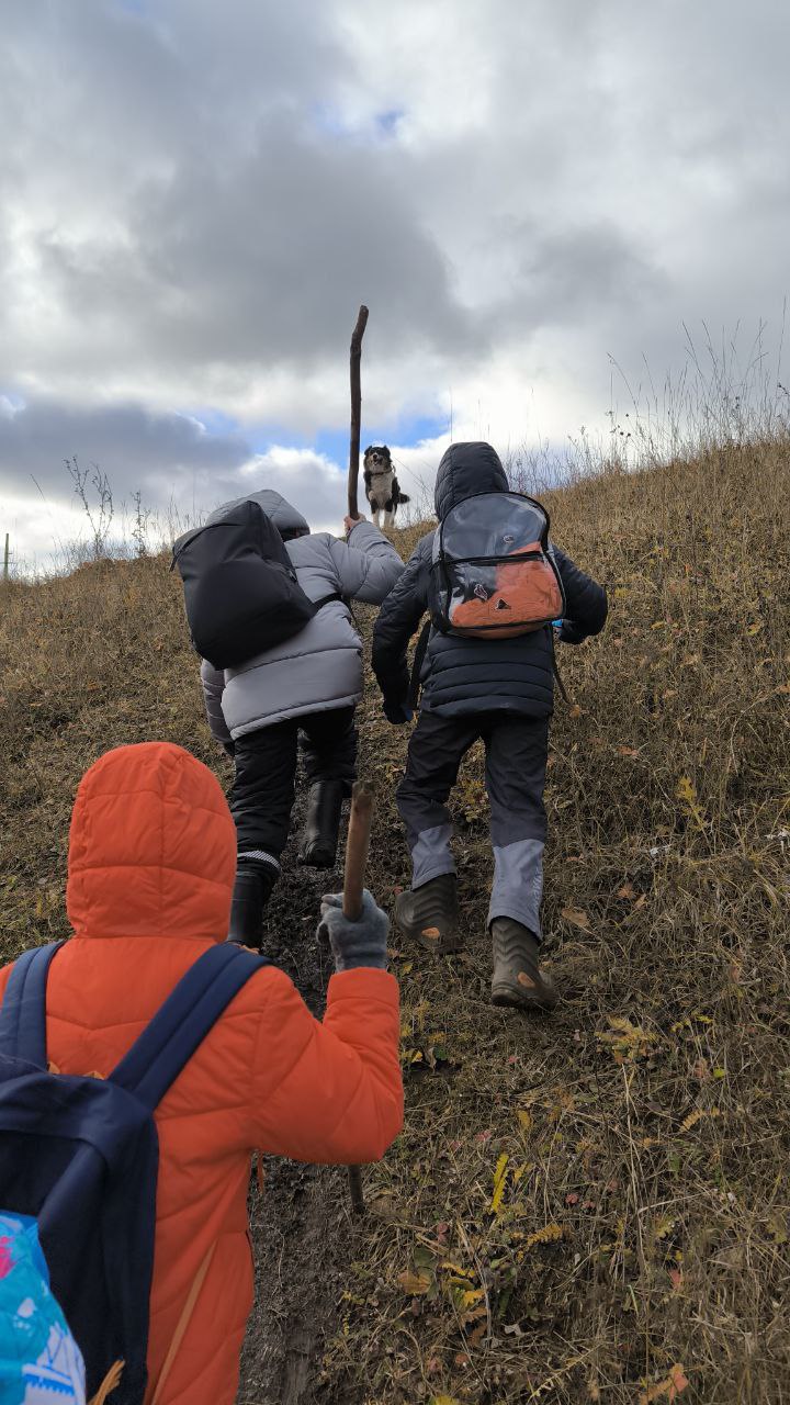 Программа Я сам для мальчиков и девочек от 7 лет