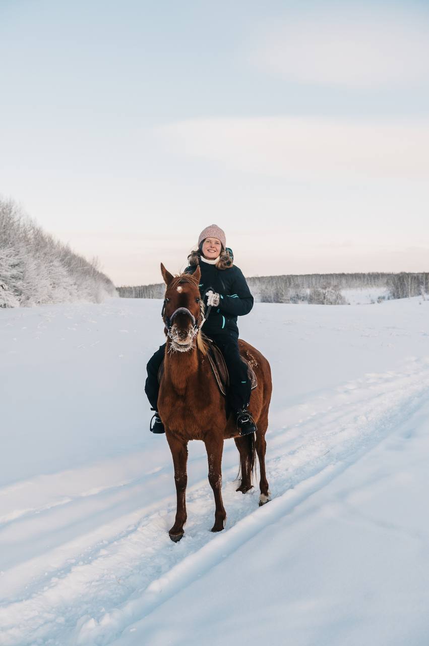 Приключение с лошадьми и зимняя прогулка