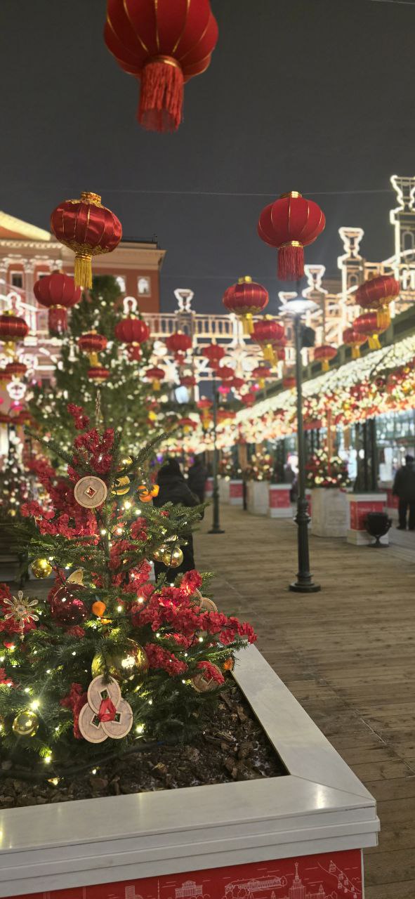 Китайский Новый год на фестивальной площадке