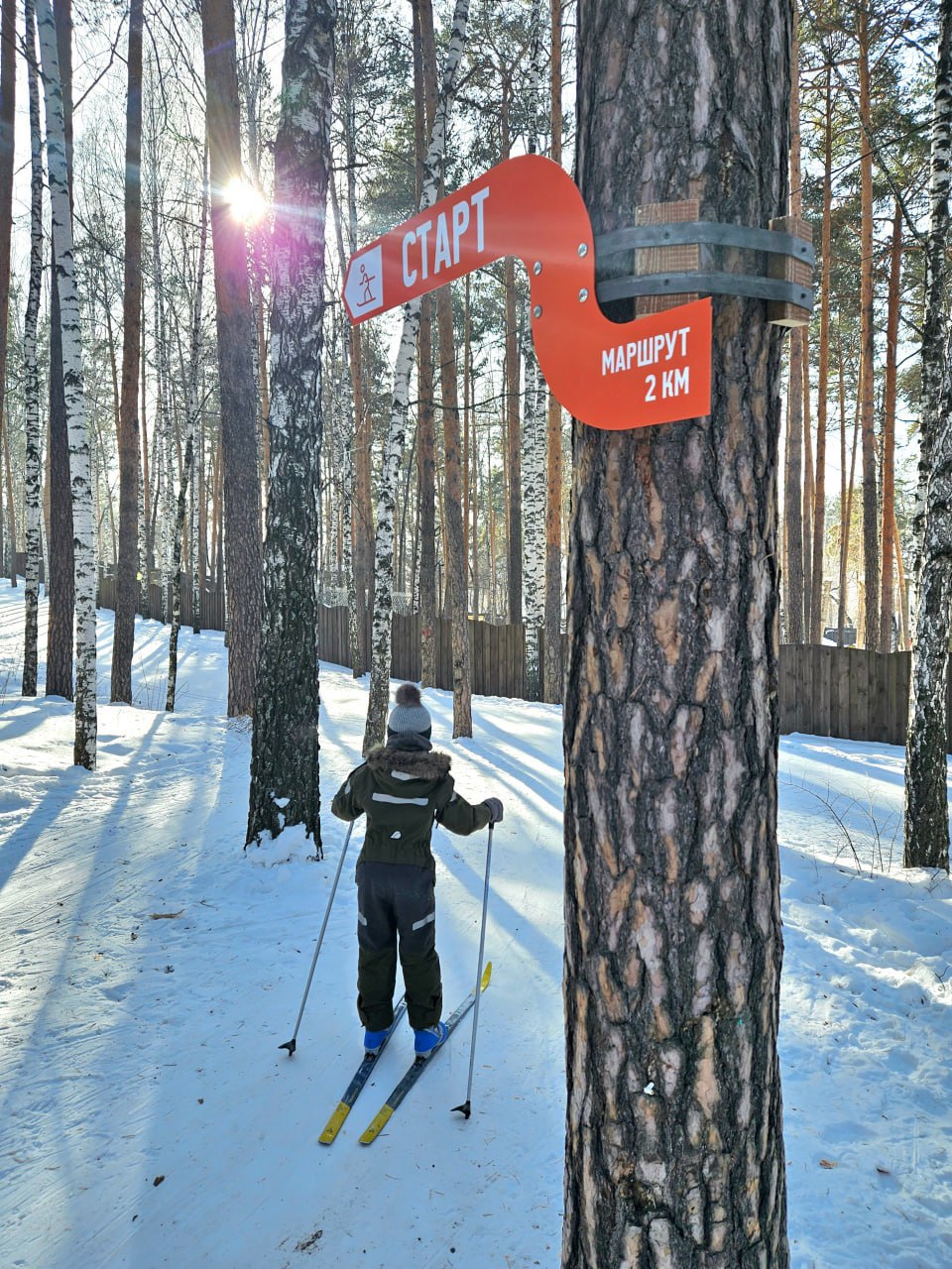 Лыжня России – 2025