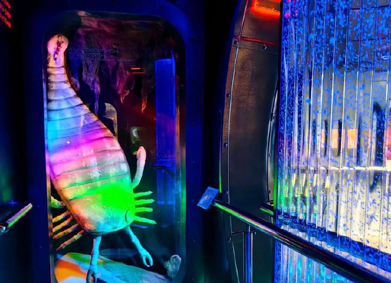 Ночь искусств в Дарвиновском музее