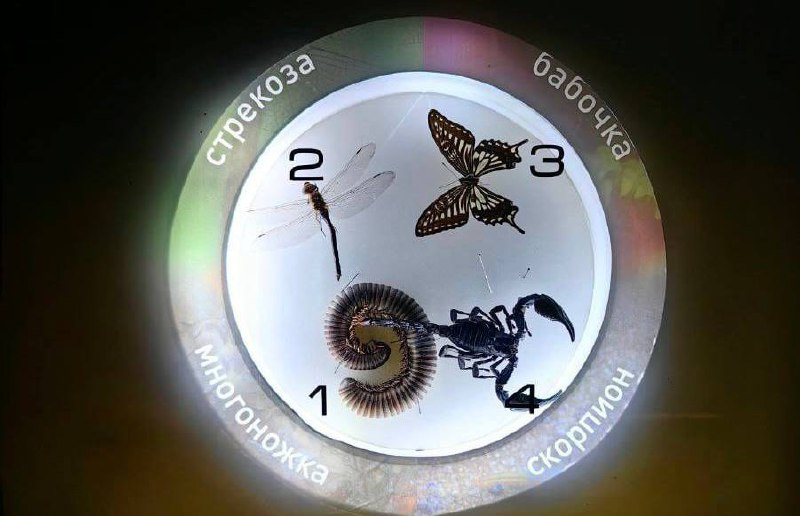 Ночь искусств в Дарвиновском музее