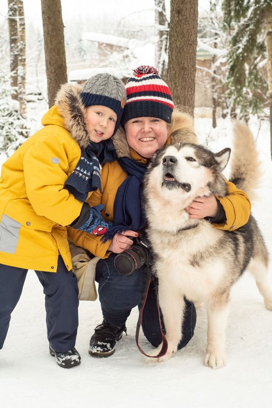 В гости к хаски: Лапы, уши и хвосты + фотосессия в лесу