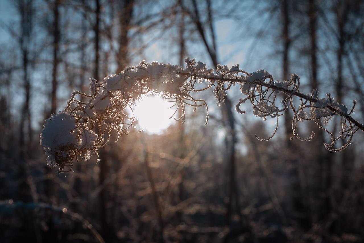 Лекция-концерт Александра Маточкина Эпос Русской Арктики