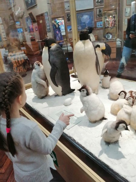 Экскурсия Природа и методы исследований Арктики