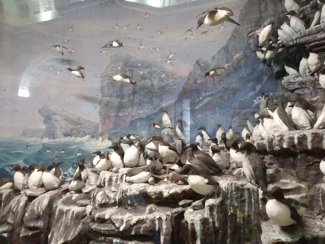 Экскурсия Природа и методы исследований Арктики