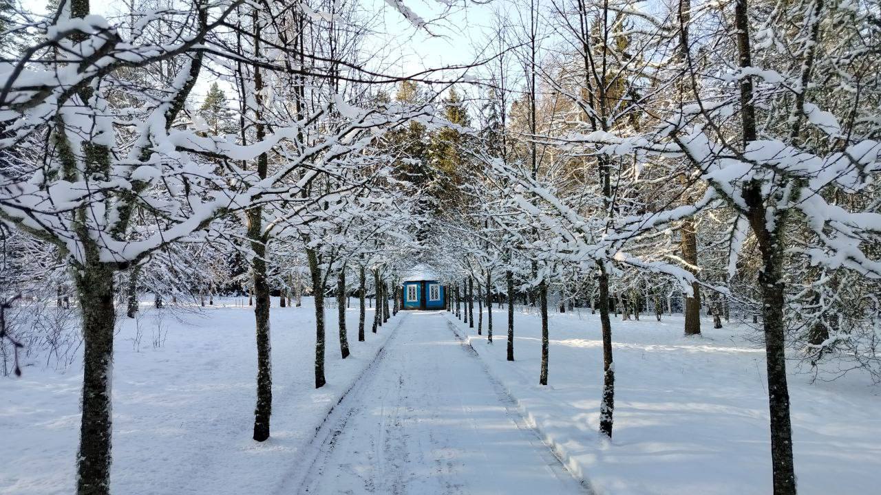 Сказочная зима в Пушкиногорье