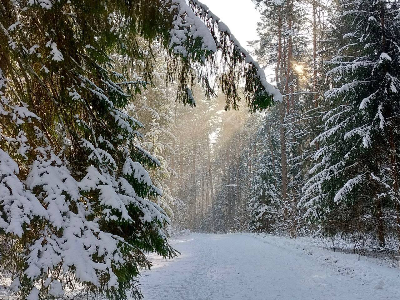 Сказочная зима в Пушкиногорье