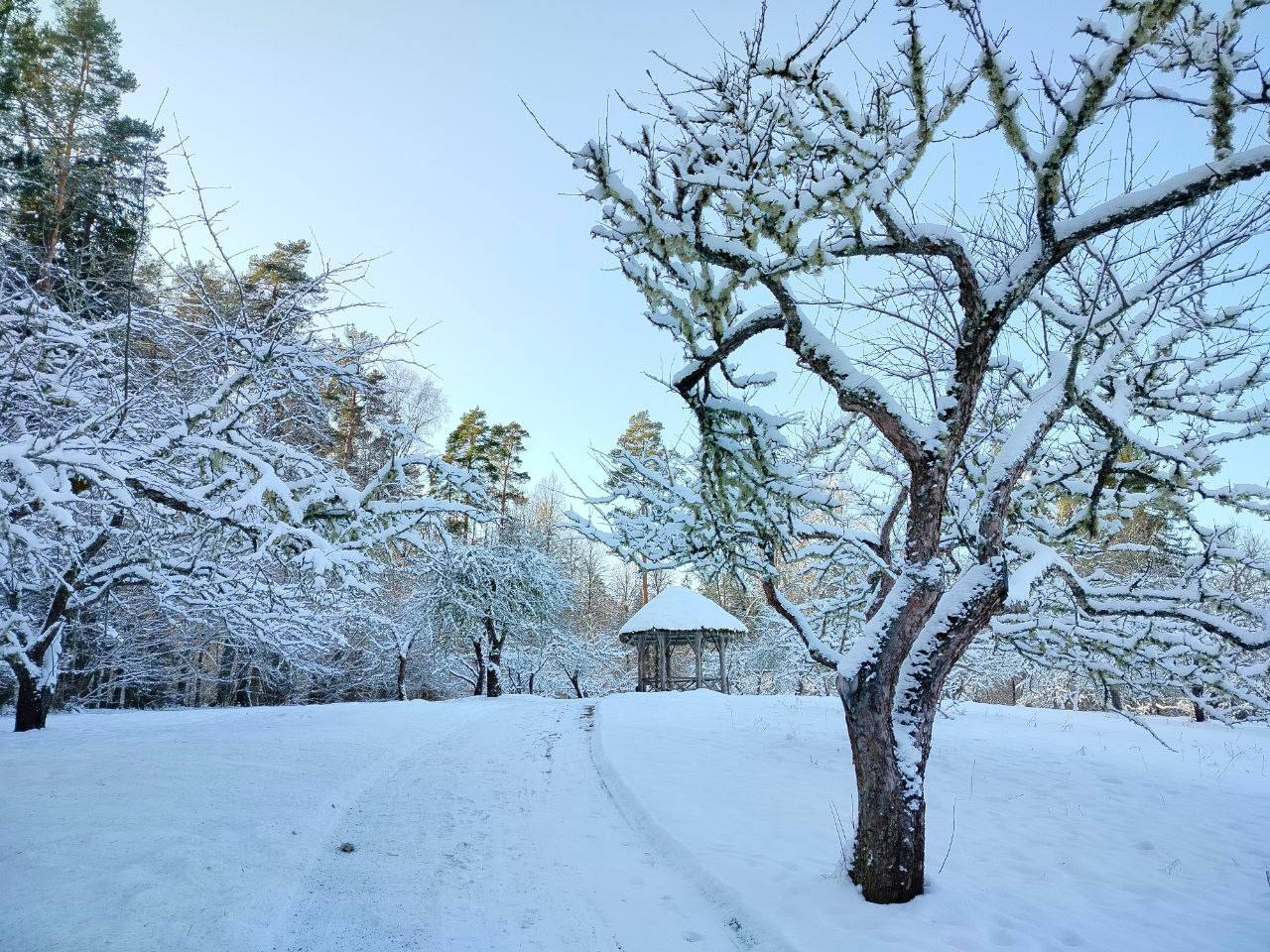 Сказочная зима в Пушкиногорье