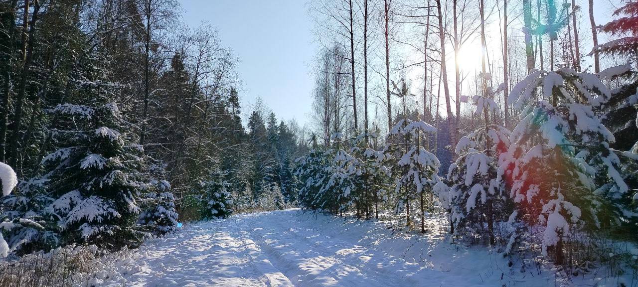 Сказочная зима в Пушкиногорье