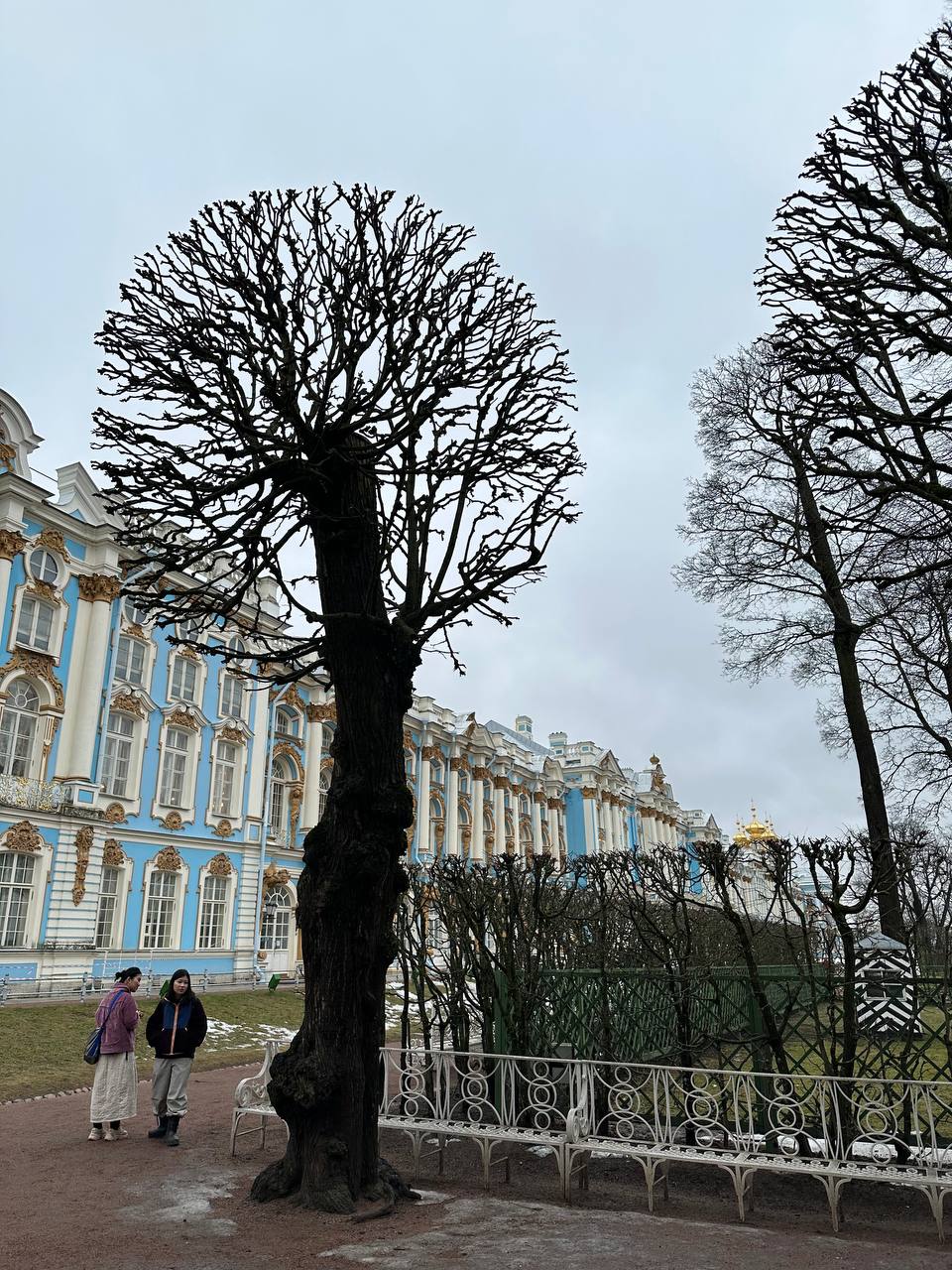 Экскурсионный тур в Санкт-Петербург