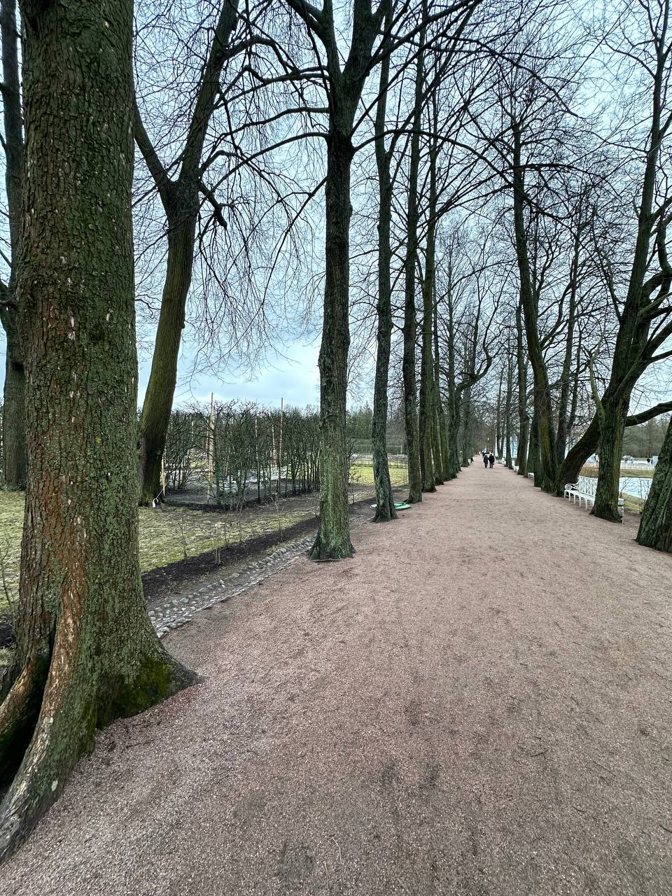 Экскурсионный тур в Санкт-Петербург