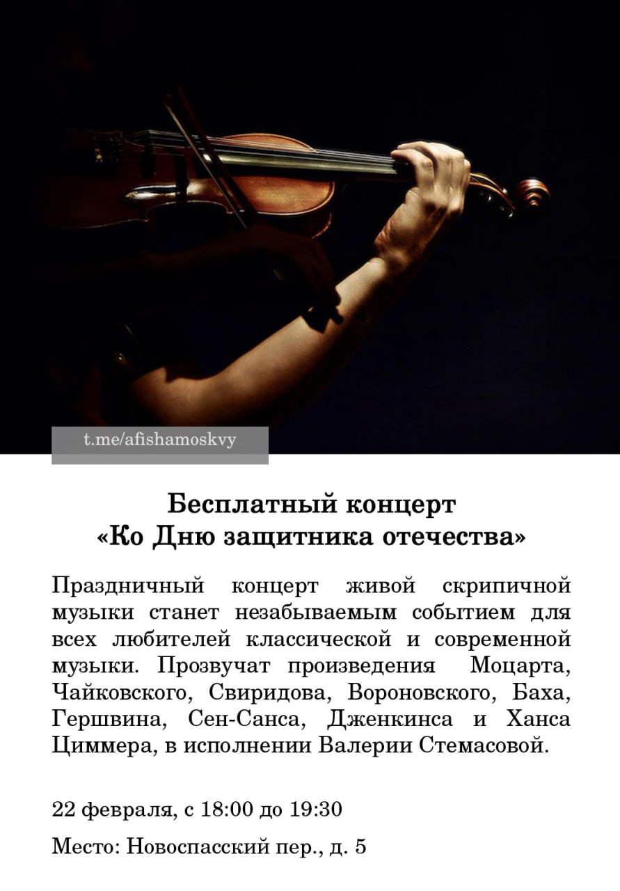 Концерт живой скрипичной музыки к Дню защитника отечества