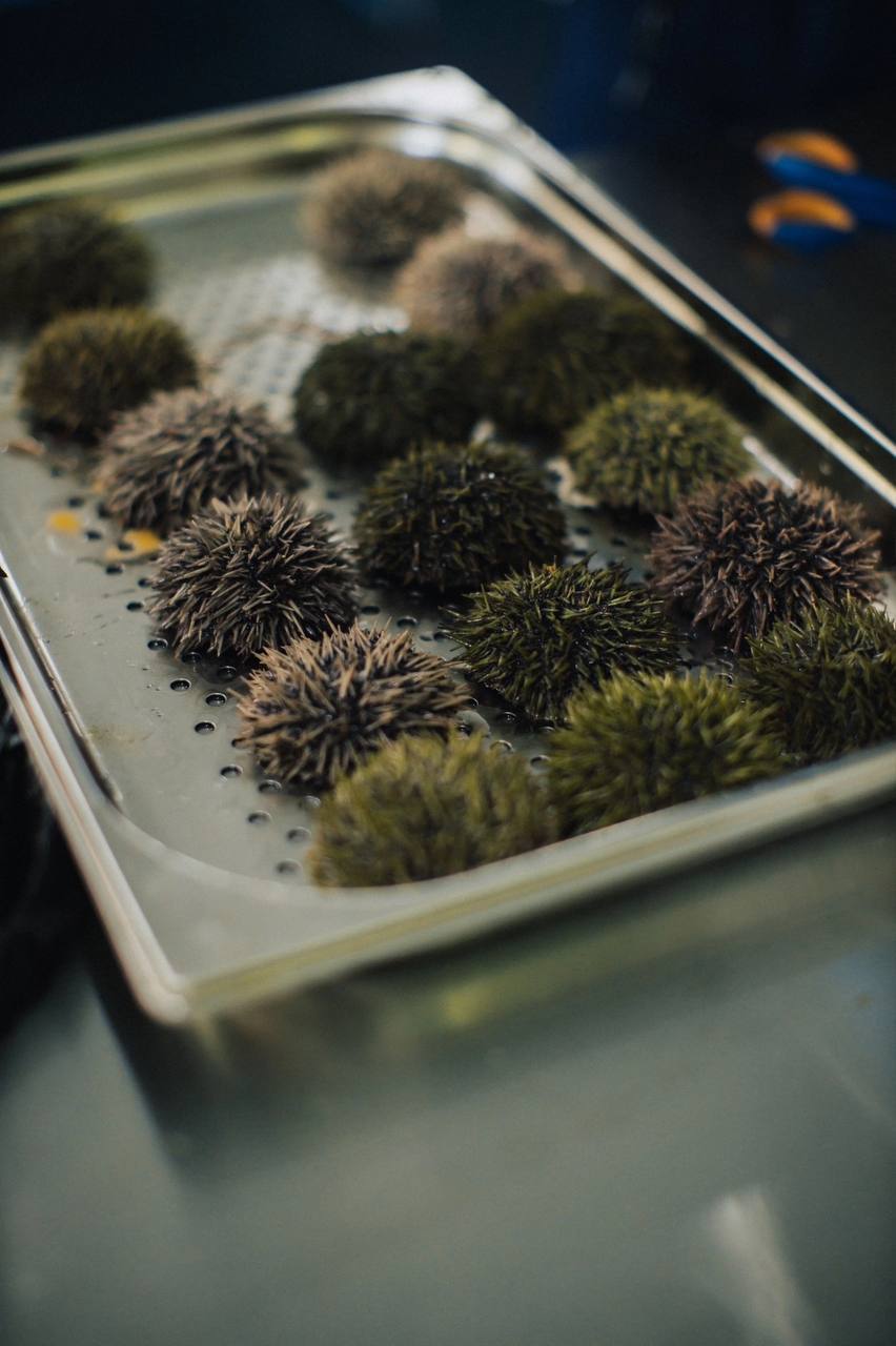 Экскурсии по закулисью производств