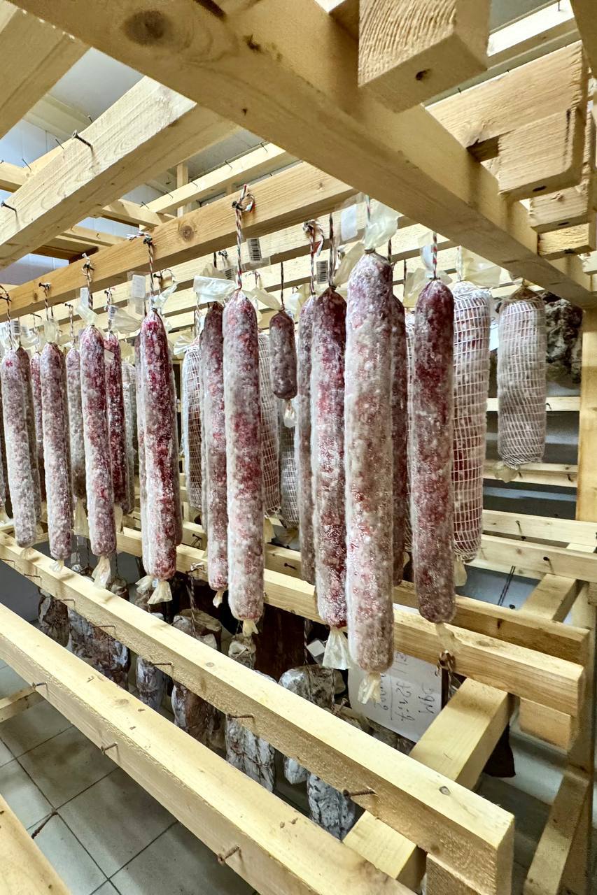 Экскурсии по закулисью производств