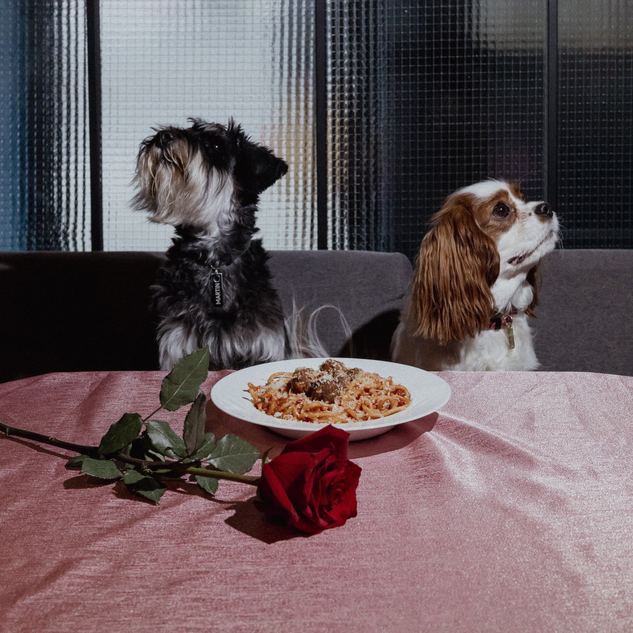 Любовь на вкус: необычные предложения ресторанов