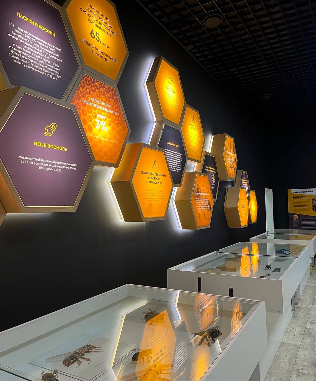 Ночь искусств в павильоне Пчеловодство