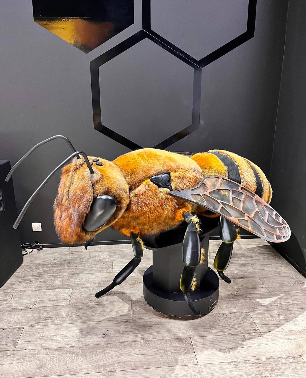 Ночь искусств в павильоне Пчеловодство