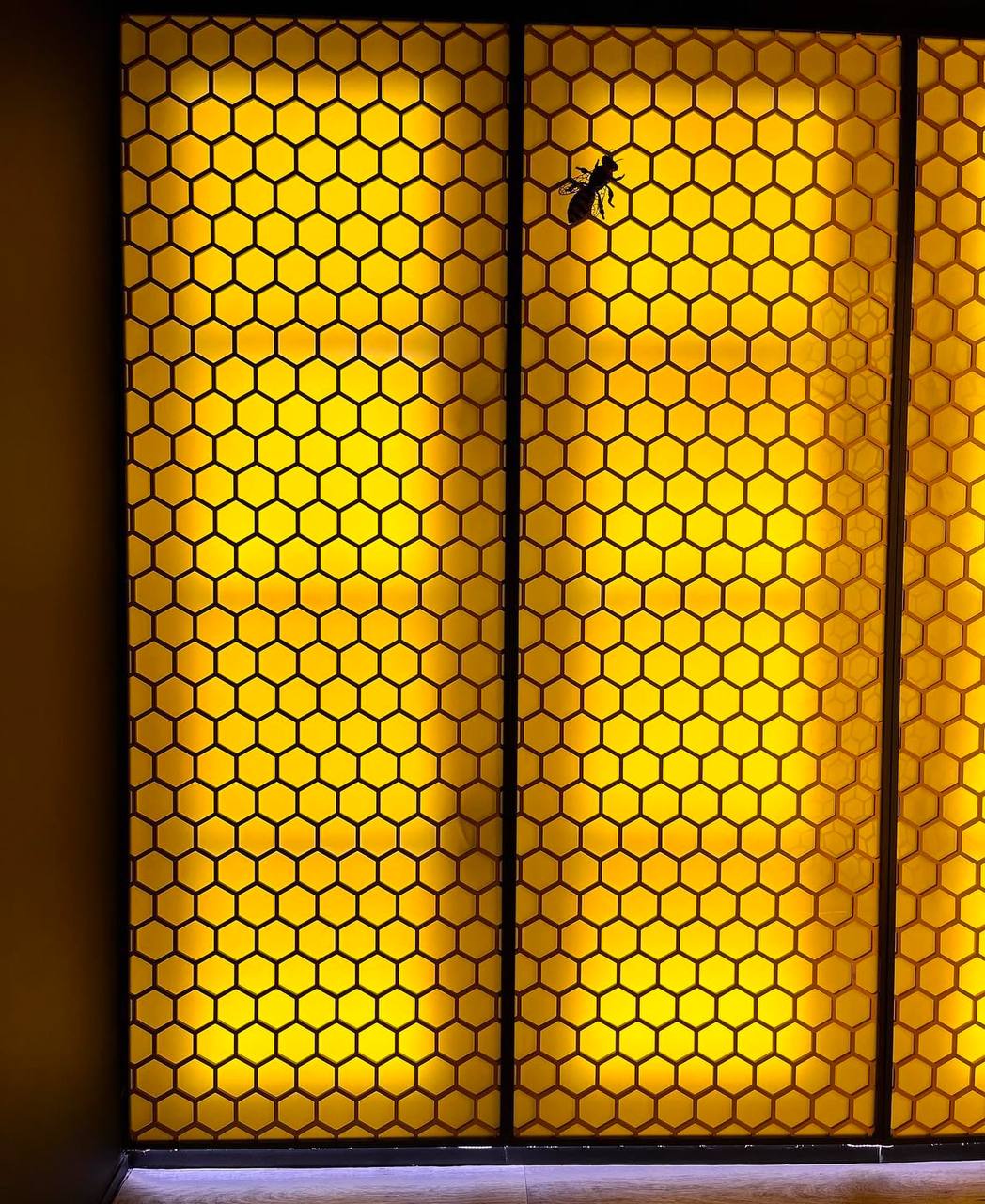 Ночь искусств в павильоне Пчеловодство