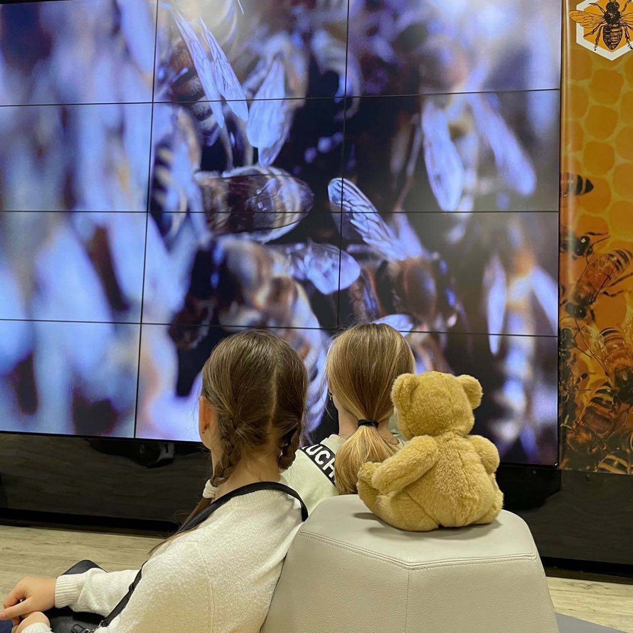 Ночь искусств в павильоне Пчеловодство