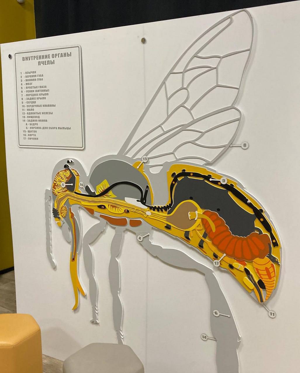 Ночь искусств в павильоне Пчеловодство