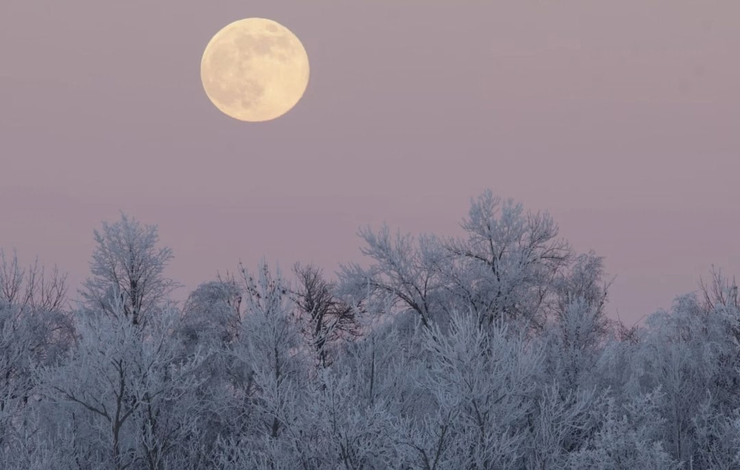 Снежная Луна