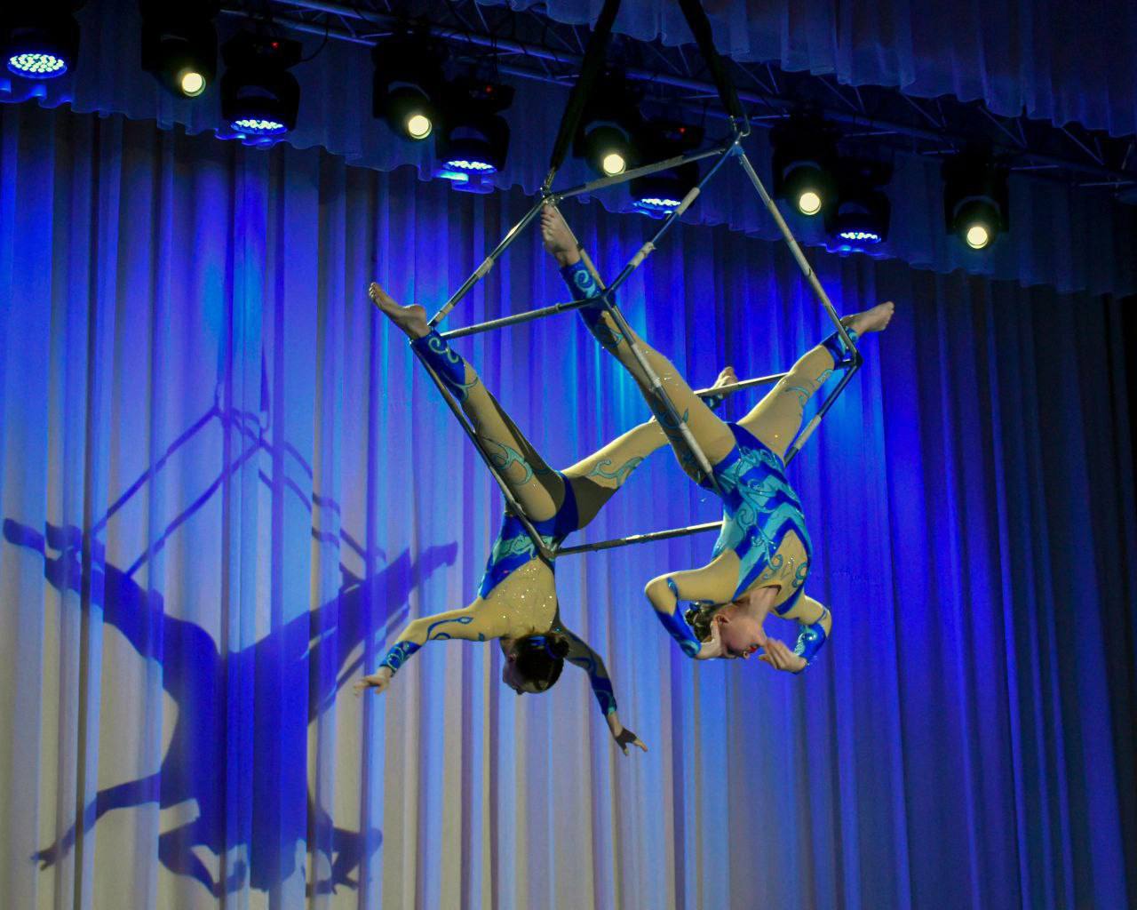 Международный фестиваль-конкурс любительских цирковых коллективов «Псковский скоморох»