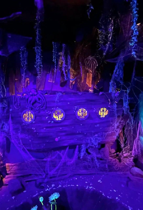 Погружение в мир морских глубин