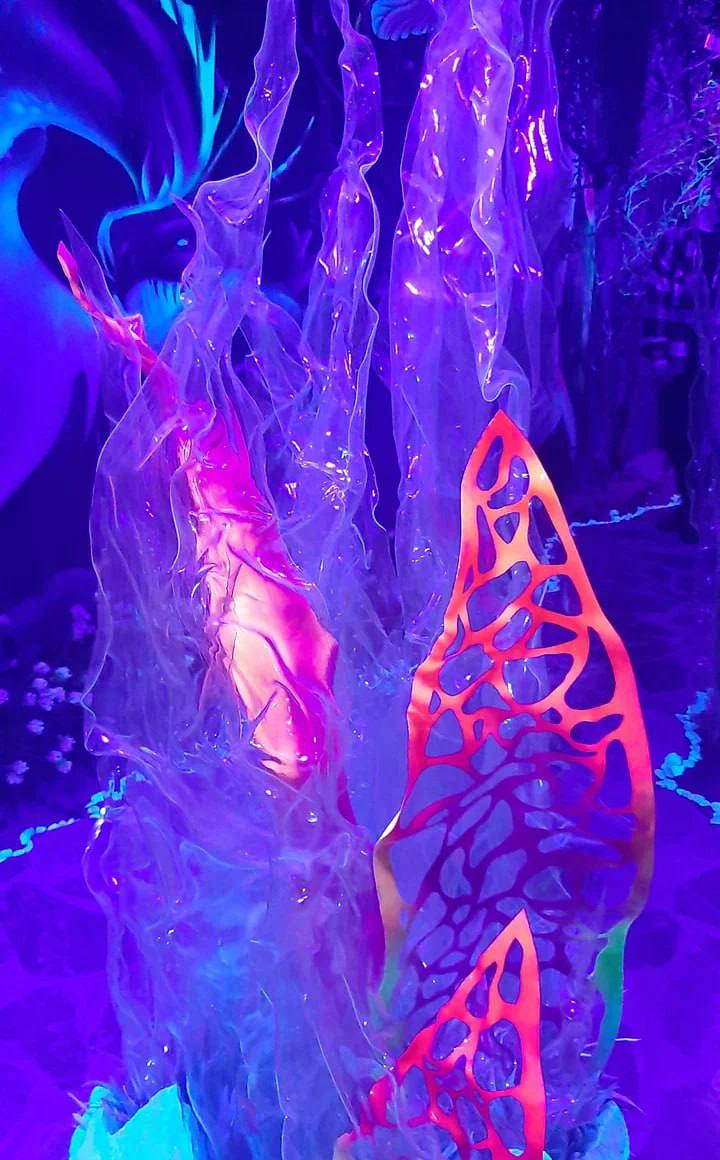 Погружение в мир морских глубин