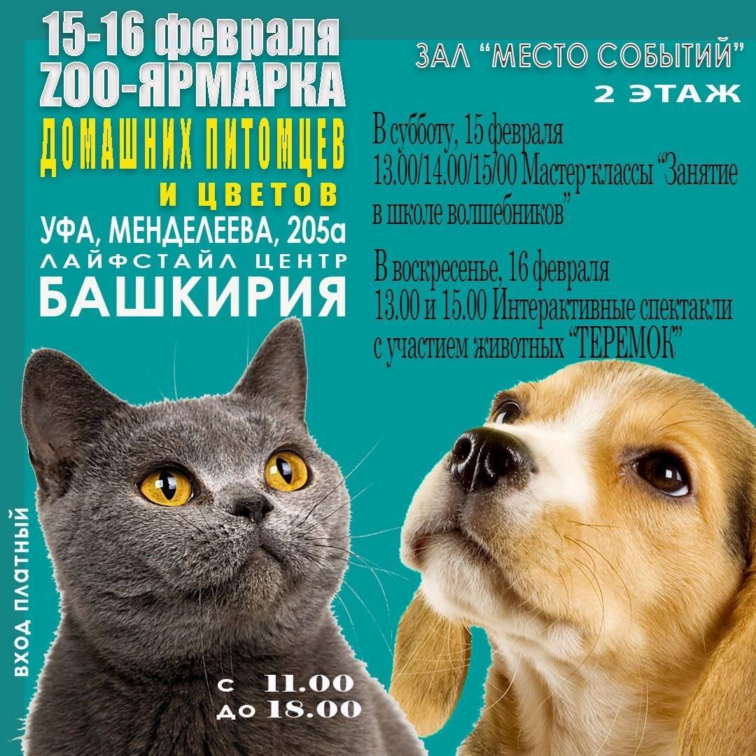 ЗооЯрмарка