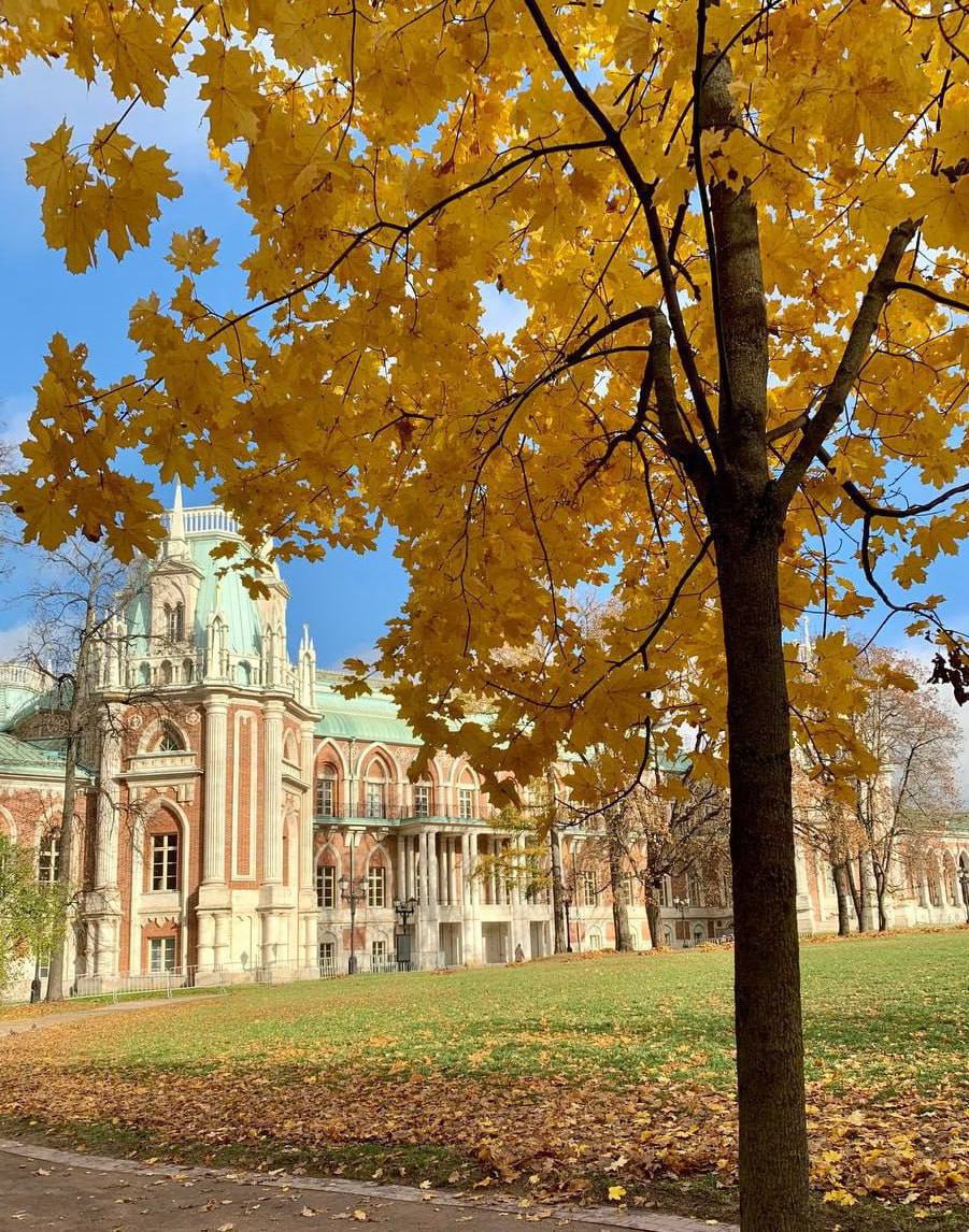 Бесплатное посещение музея-заповедника Царицыно