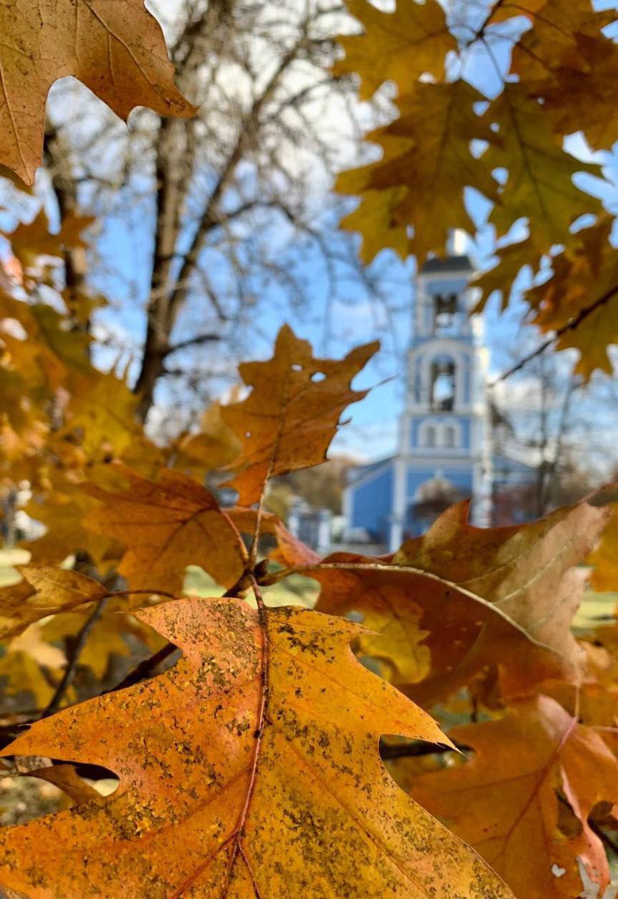 Бесплатное посещение музея-заповедника Царицыно