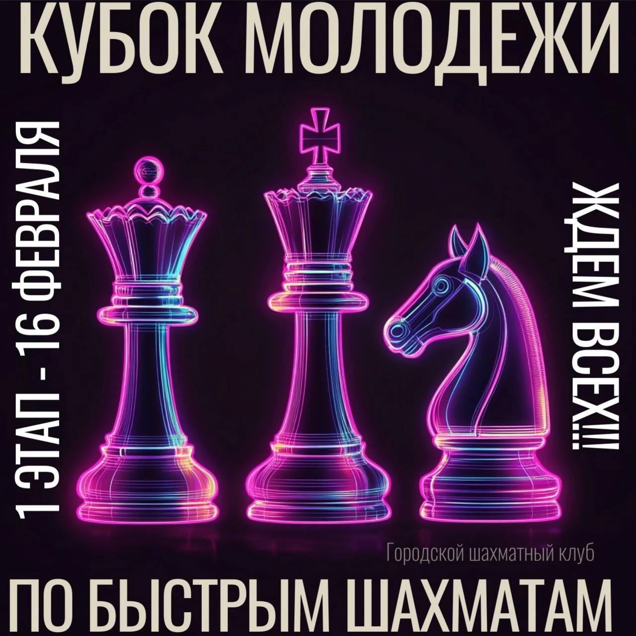 Кубок молодежи по быстрым шахматам