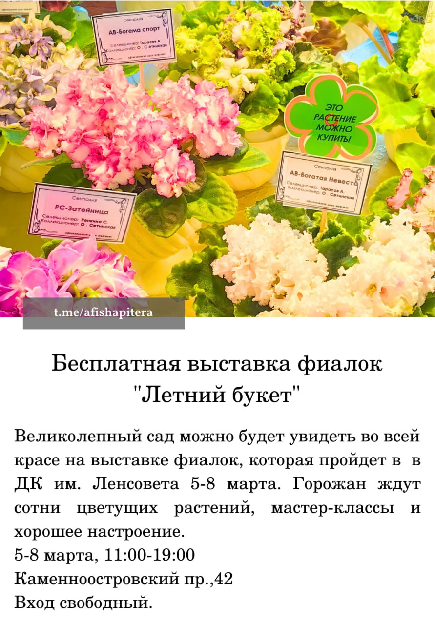 Выставка фиалок 'Летний букет'