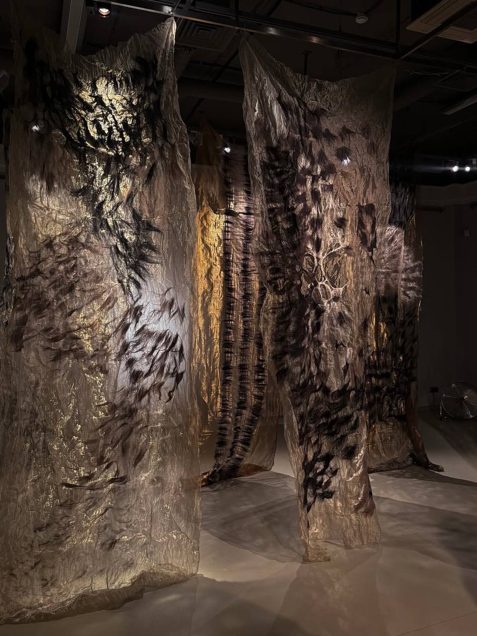 Выставка Эрарта Премия 2025