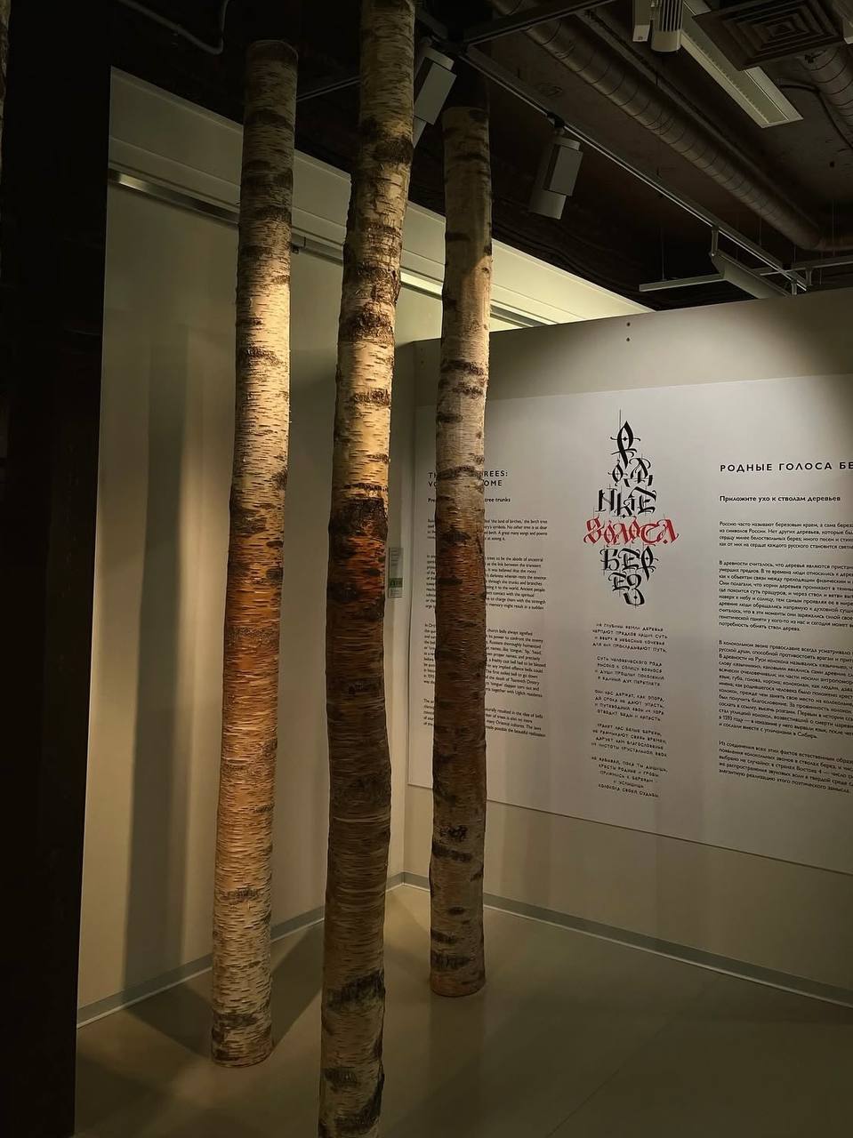 Выставка Эрарта Премия 2025