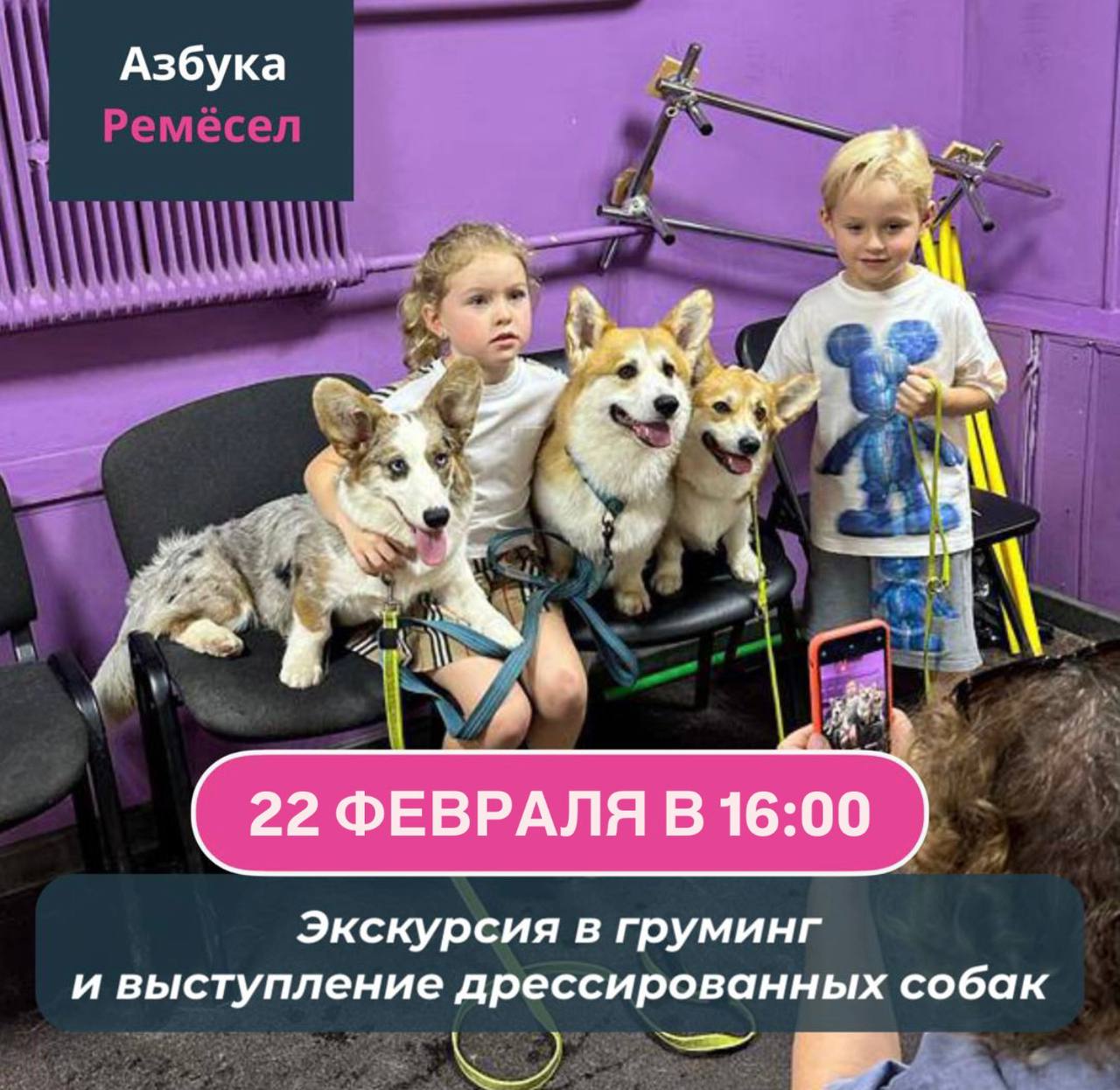 Экскурсия в груминг и выступление дрессированных собак