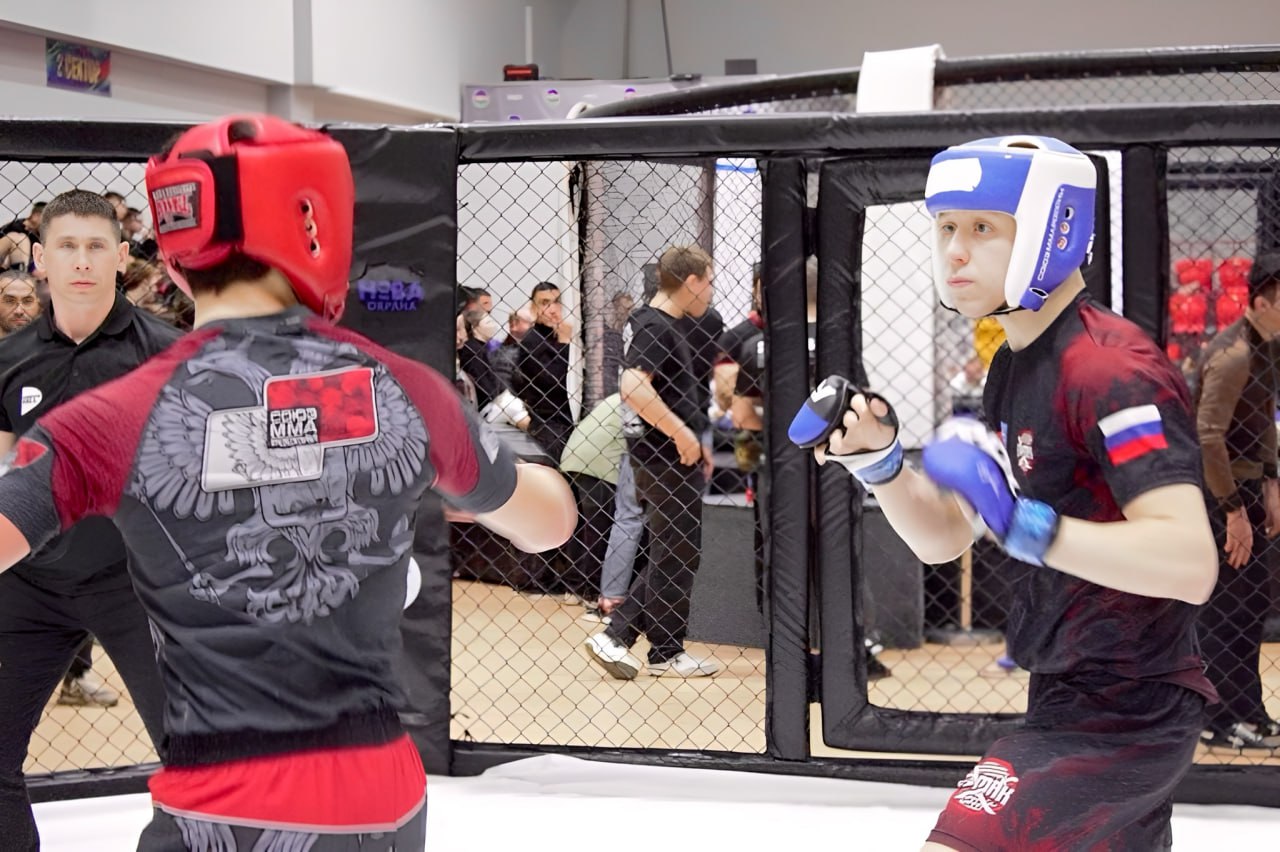 Первенство Южного федерального округа по смешанному боевому единоборству