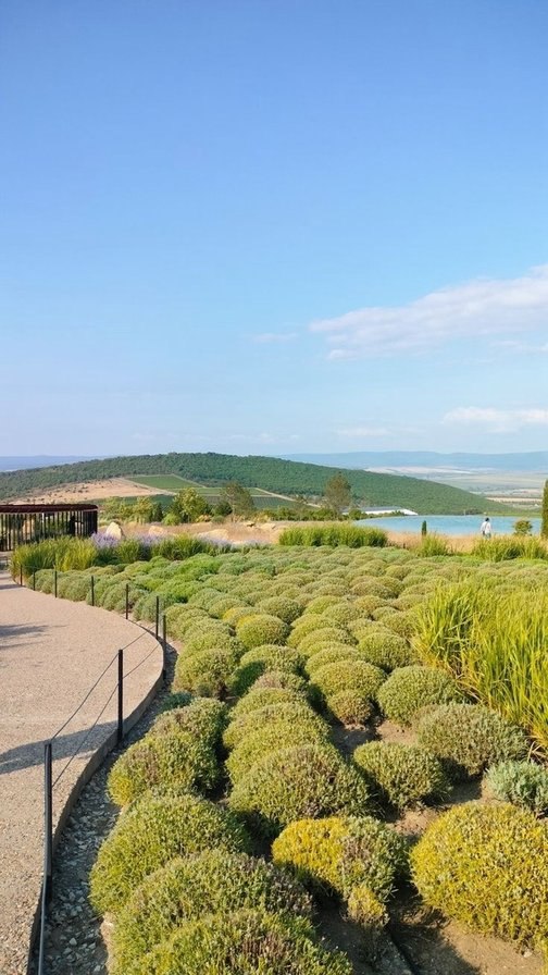 Тур по винодельням Краснодарского края